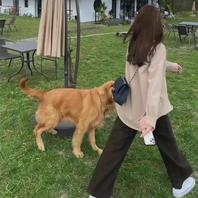 致命档案